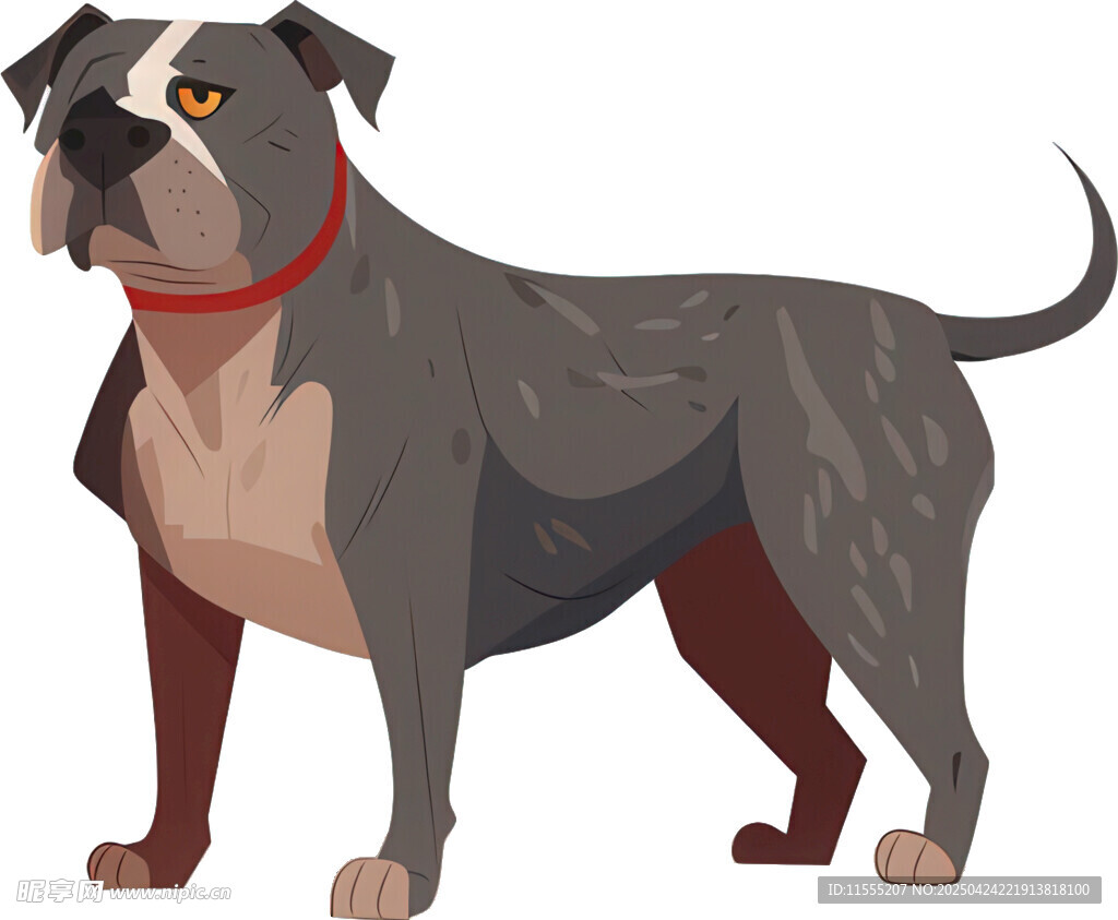 站立的灰黑色斗牛犬