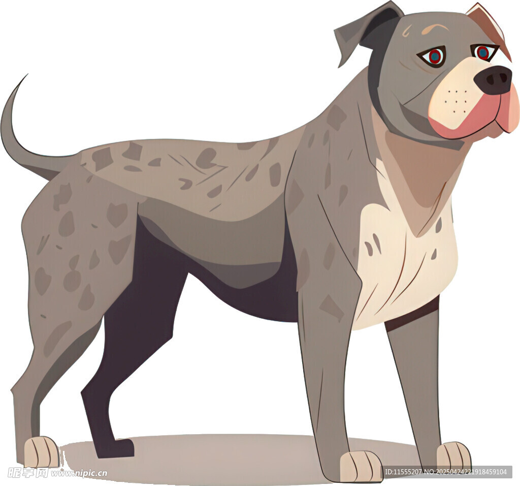 站立的斑点斗牛犬