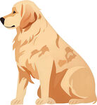 坐着的金毛犬插画