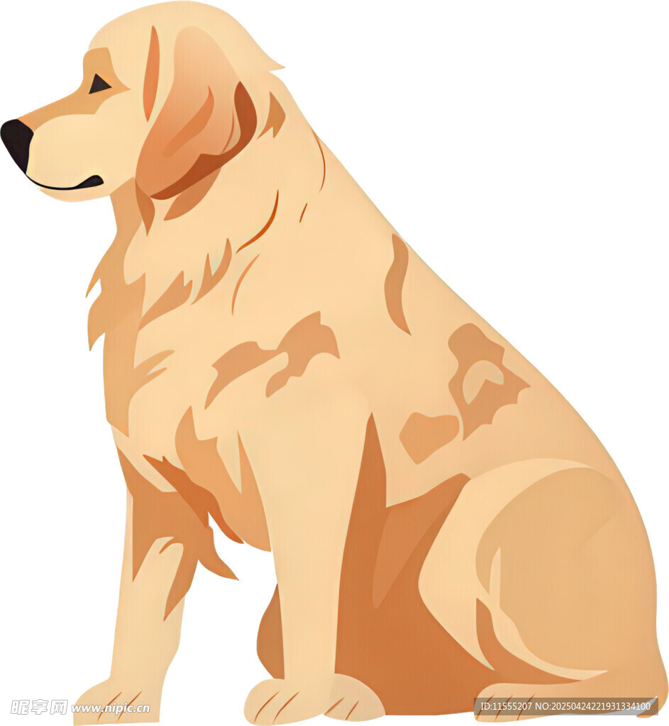坐着的金毛犬插画