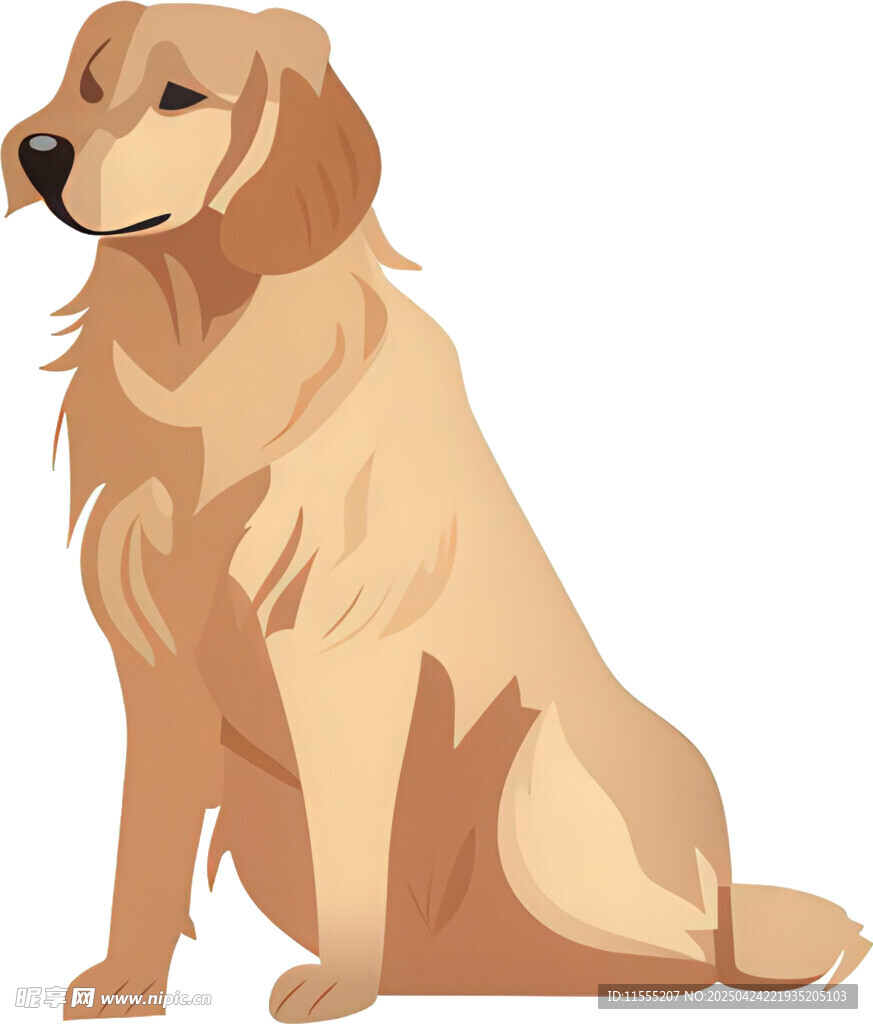坐着的金毛犬