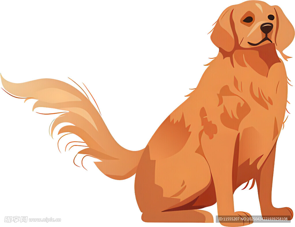 坐着的金毛犬