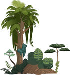 热带丛林植物景观