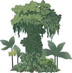 丛林绿植景观