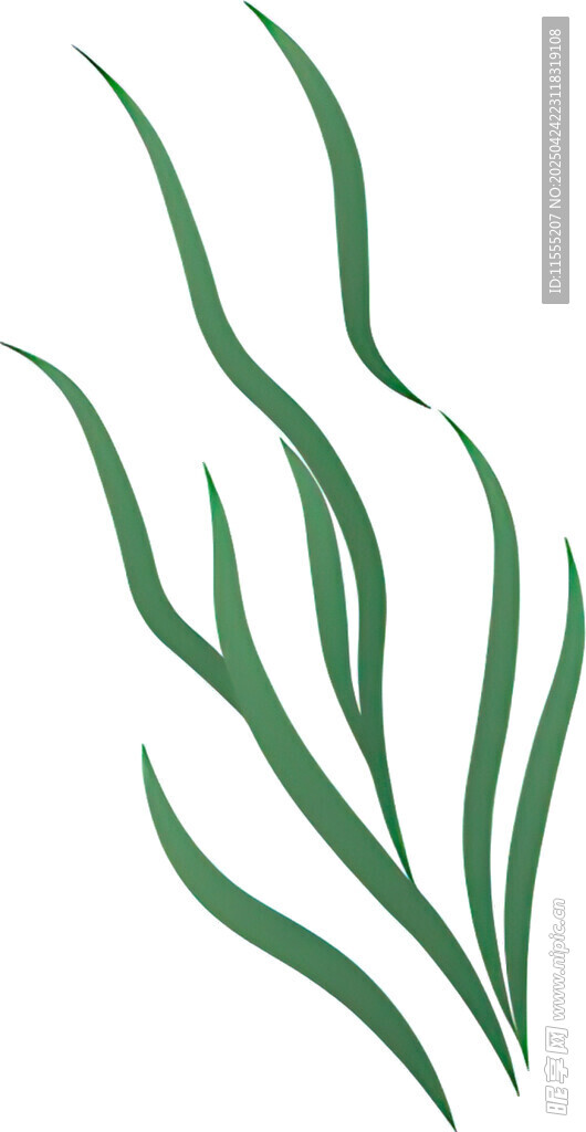 绿色海草图案