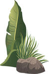 绿叶岩石植物景观图