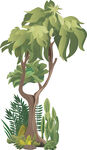 热带绿植景观插画