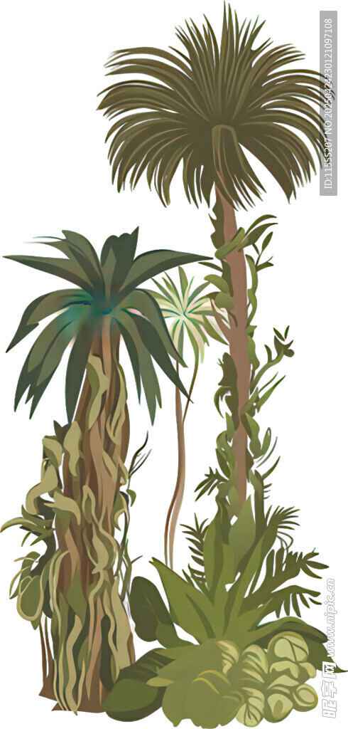 热带植物组合插画