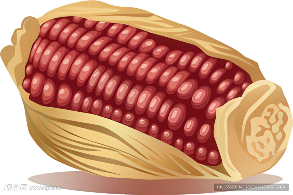 红玉米插画