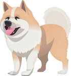 可爱站立柴犬插画