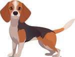 可爱比格犬插画形象