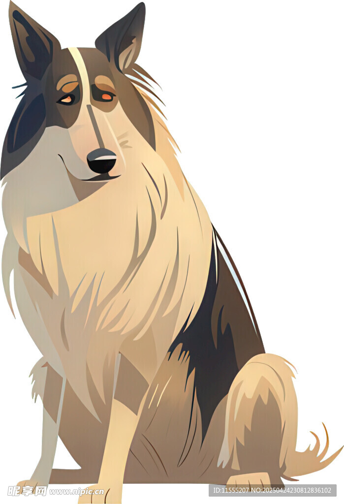 坐着的三色长毛牧羊犬