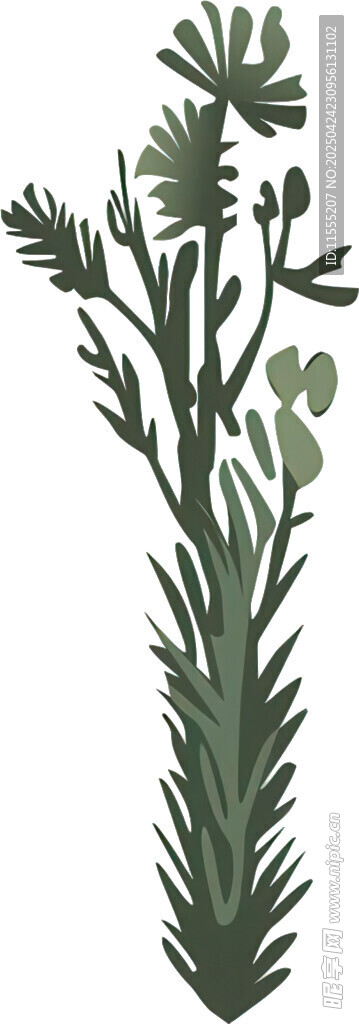 手绘绿色植物枝叶插画