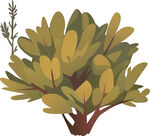 茂盛绿植插画