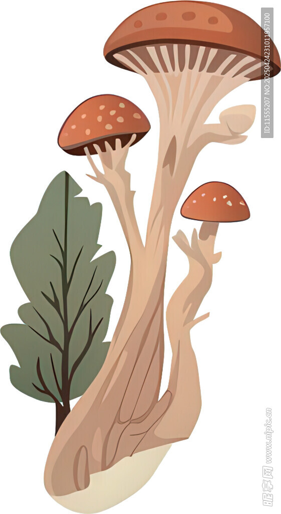 三株蘑菇与绿叶插画