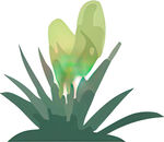 绿色植物插画
