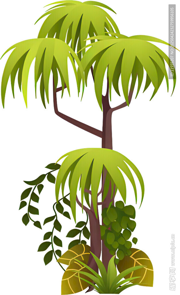 热带绿植景观