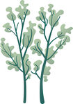 双枝绿植插画