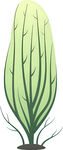 绿色植物插画