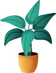 盆栽绿植 清新室内小植物