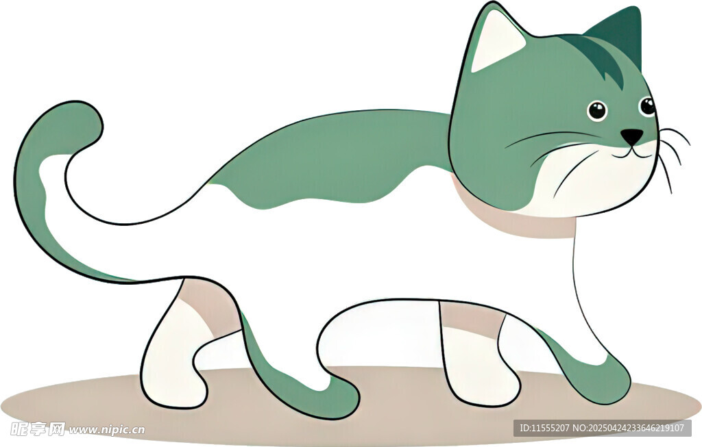 绿白相间的可爱猫咪