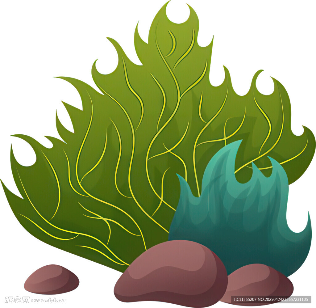 海底绿植与礁石景观