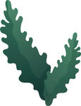 绿色锯齿状叶片植物