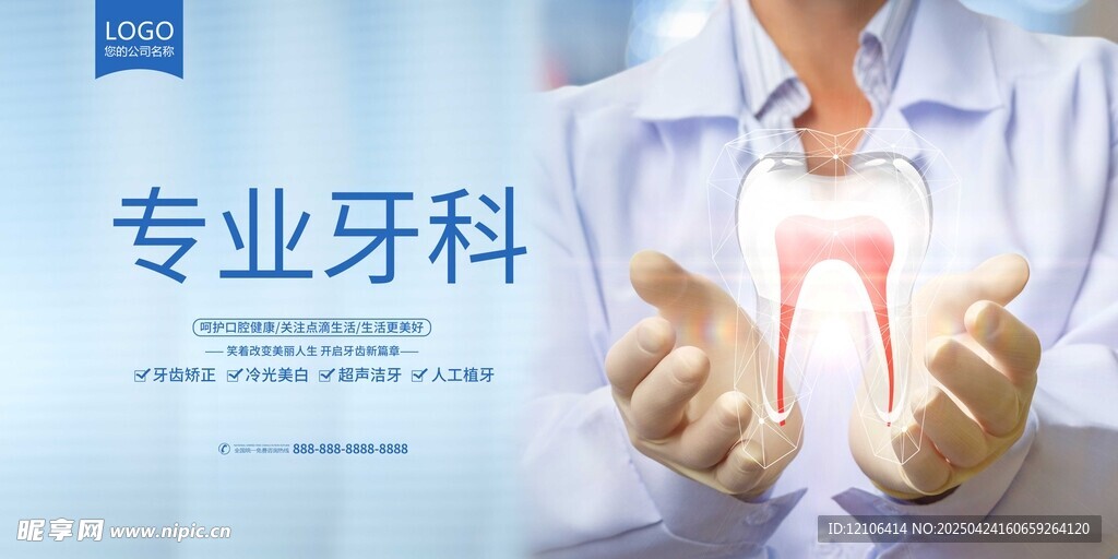 专业牙科展示牙齿模型