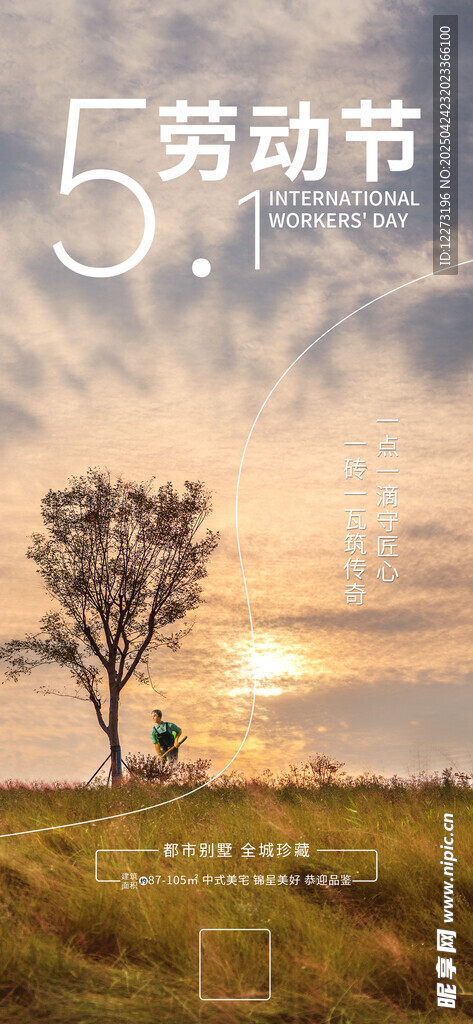 劳动节田野孤树美景