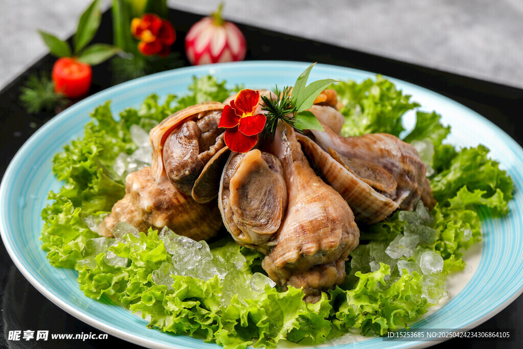 美味生蚝配生菜摆盘