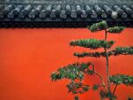 盆栽