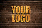 LOGO 样机