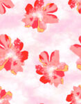 扎染花