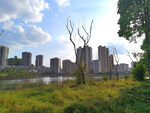 城市河畔