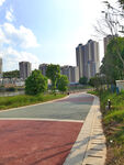 城市步道