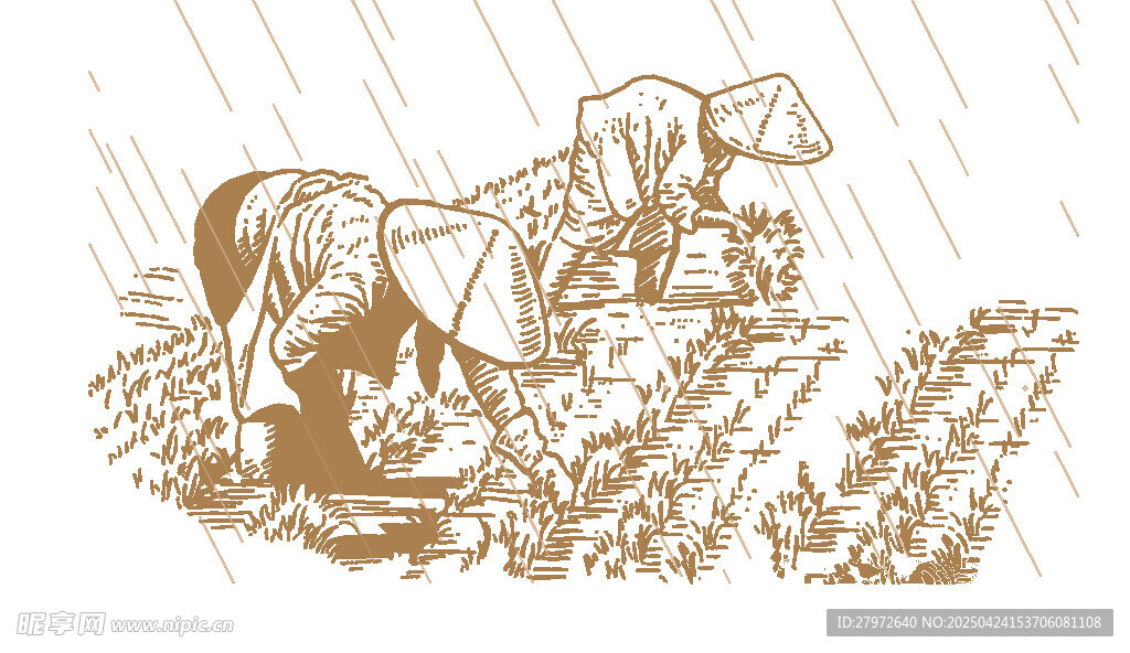 雨中劳作的农民