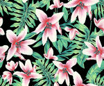 热带花