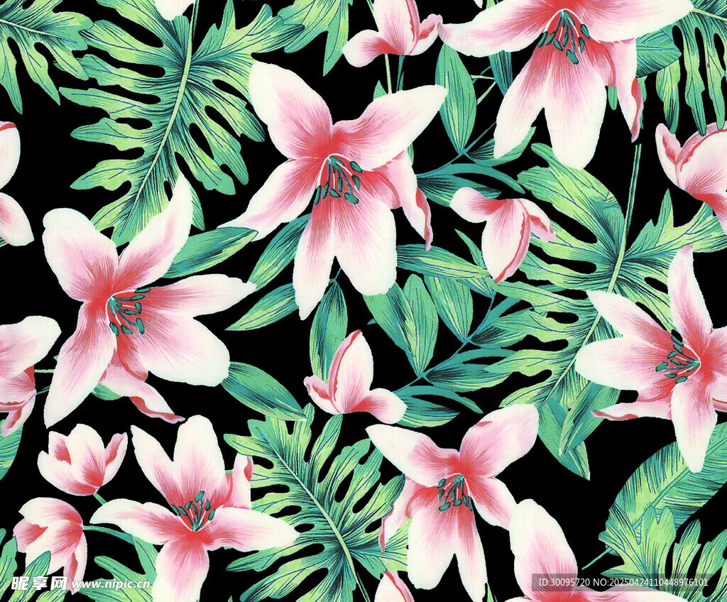 热带花