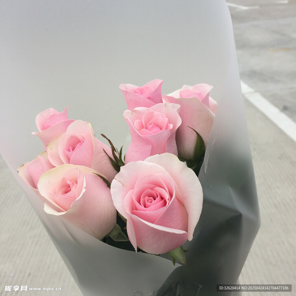 玫瑰花
