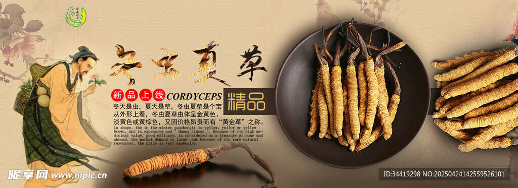 冬虫夏草
