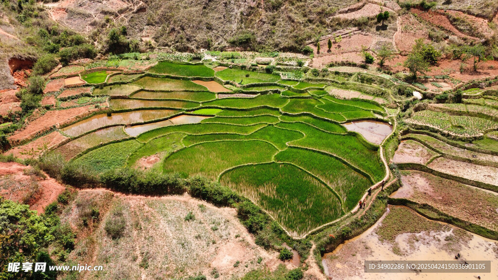 梯田美景 大地的绿色乐章