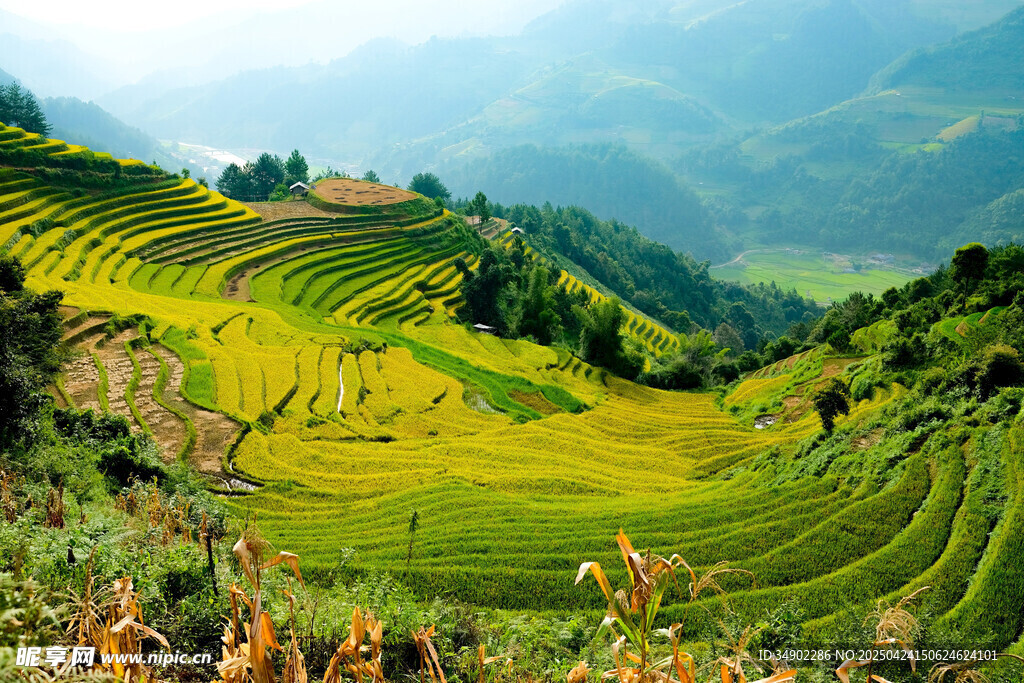 壮丽梯田美景