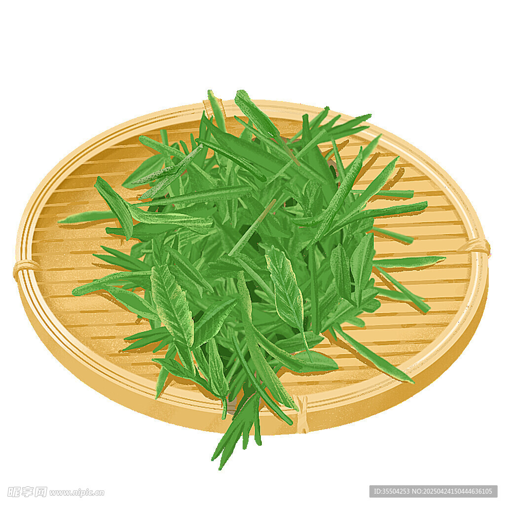 竹盘上的嫩绿新鲜艾草叶