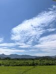 蓝天白云下的绿野山峦