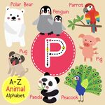 字母P相关的可爱动物们