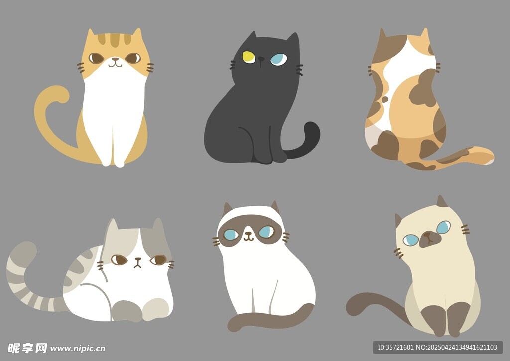可爱猫咪集合