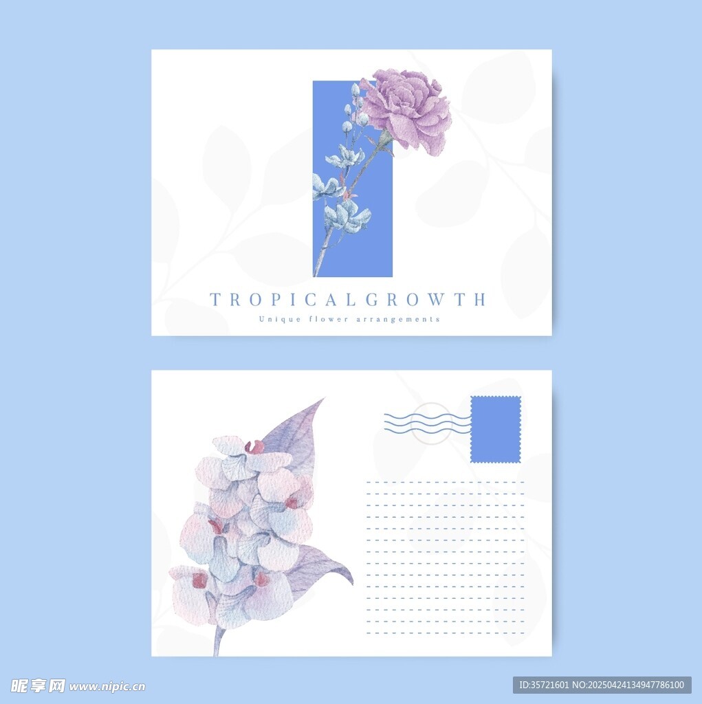 花卉主题明信片设计