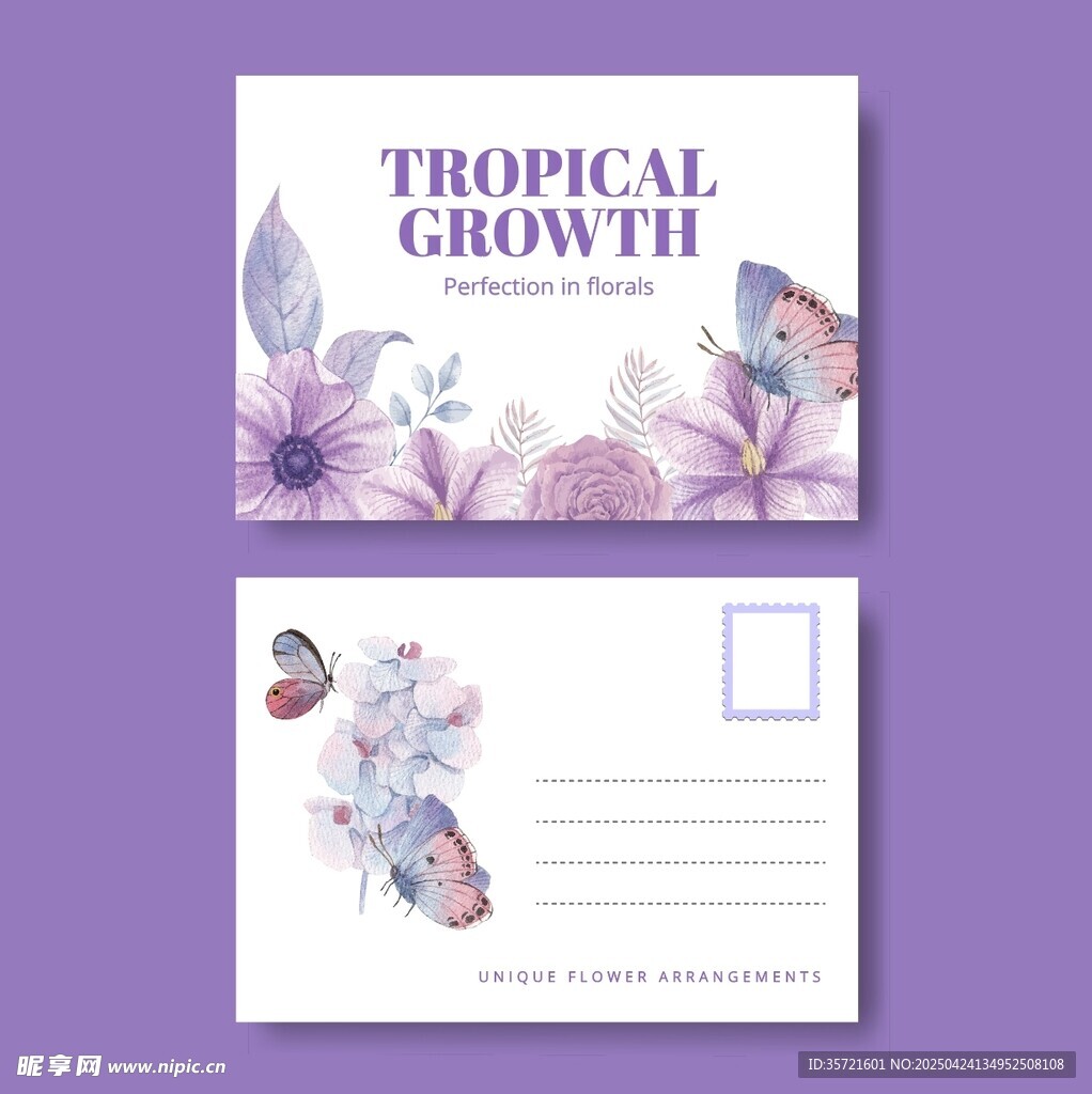 热带花卉主题明信片设计