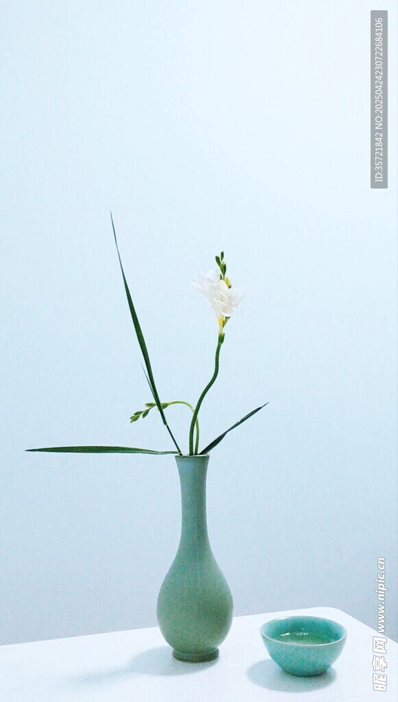 素雅花瓶中的清新香雪兰