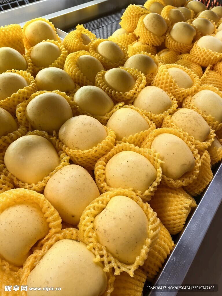 白甜瓜